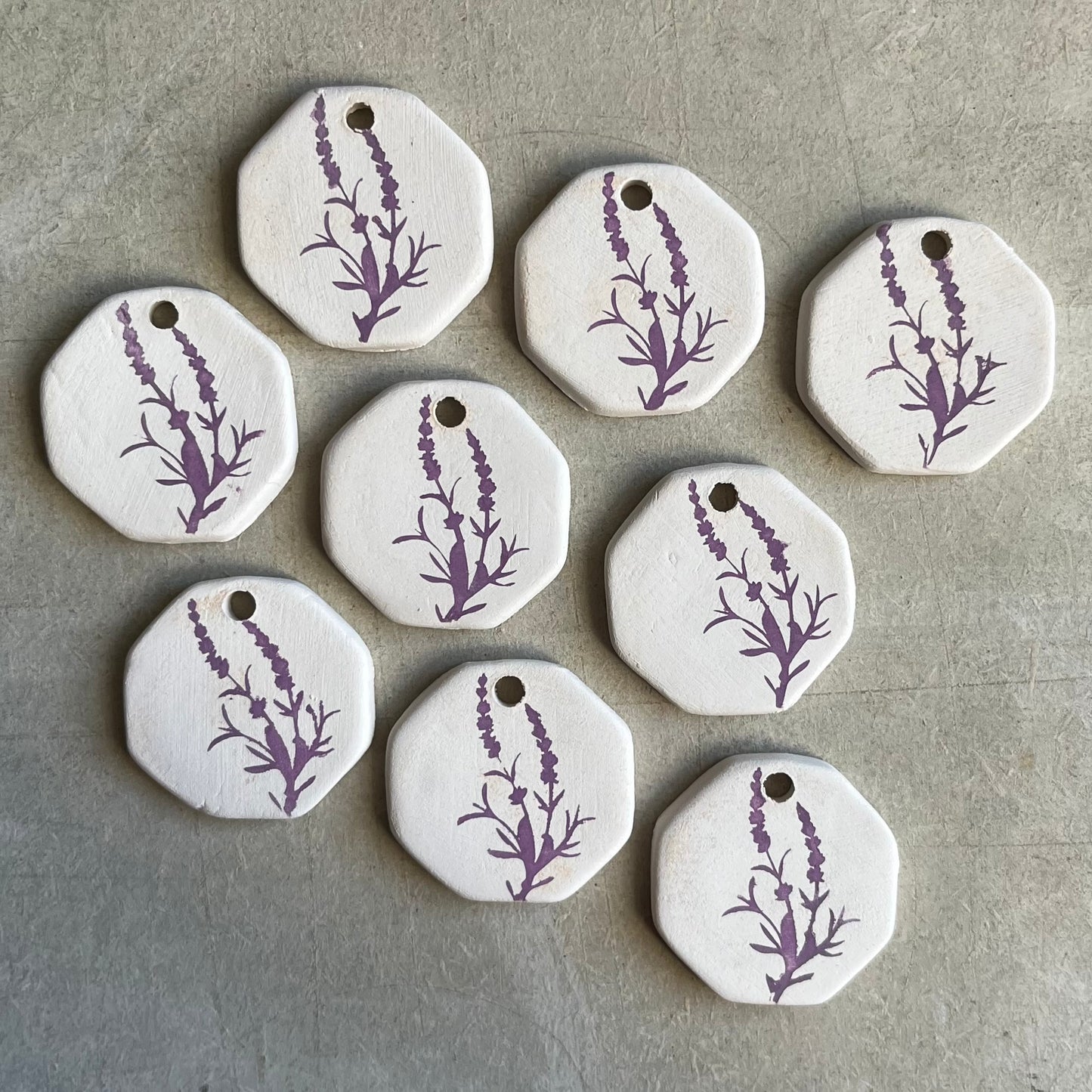 Lavandula